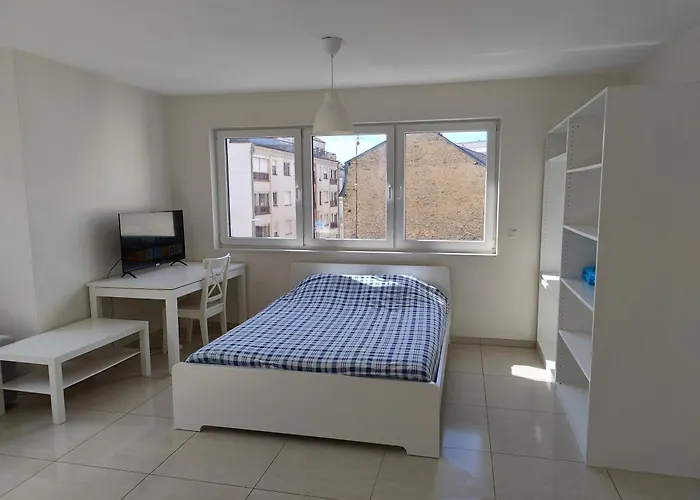 Elegant Spacious Room, Steps From Train Station Penzion Lucembursko