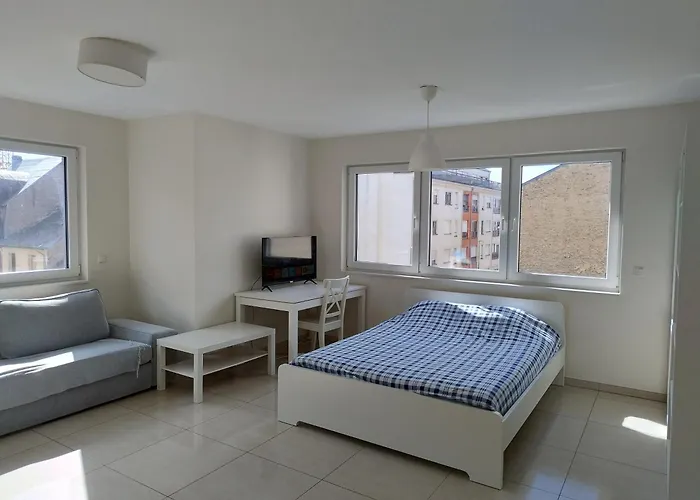 Elegant Spacious Room, Steps From Train Station 招待所 *